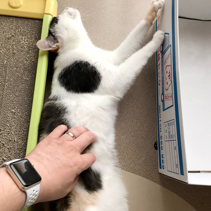 588b0ed7 c73a 4094 a1f6 d93e1e6885e1 1537317987410