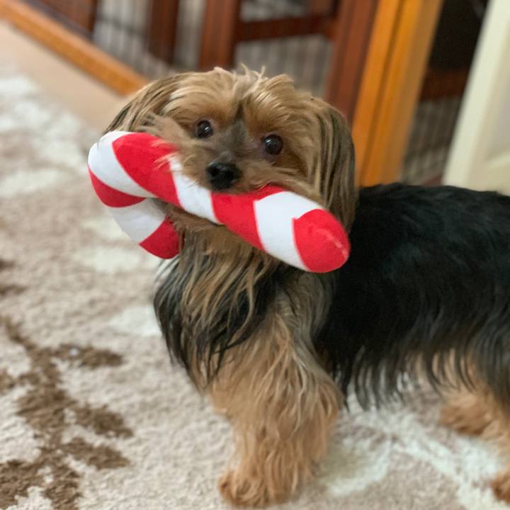 588b0fd2 c439 4030 87e1 3142151e4e39 1542370204539