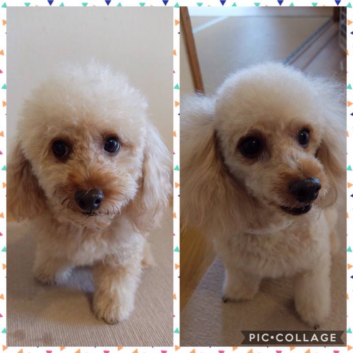 588ba0a4 38ea 44df bcfd 3056fb262834 1593232803285