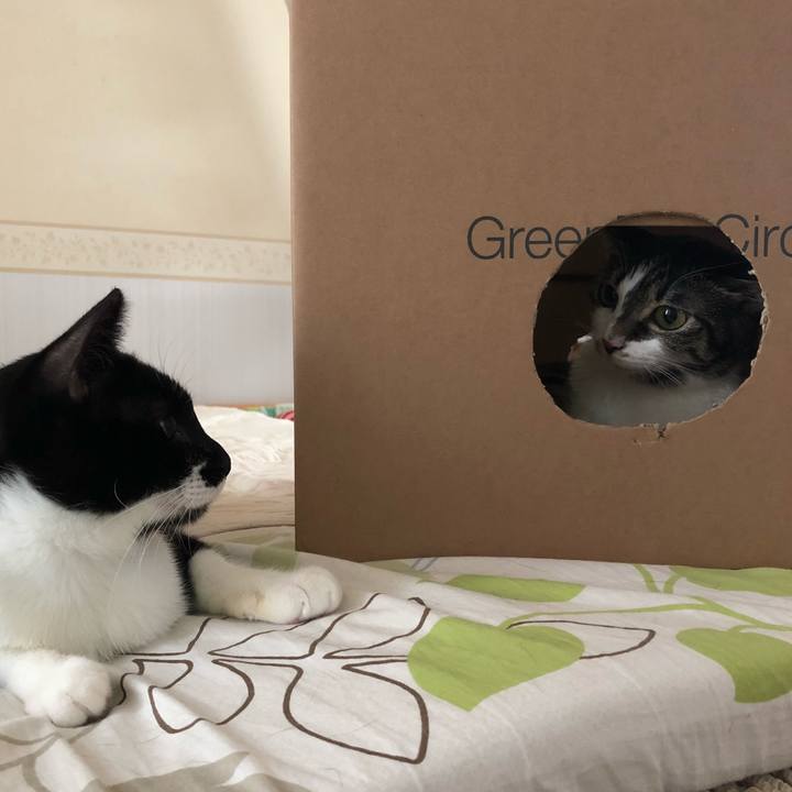 588bcef0 91cd 4c0f b51f bc8ee776b811 1533262731055