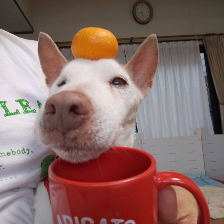 588bd561 48e2 455e b7d0 bd5729160898 1559950533569