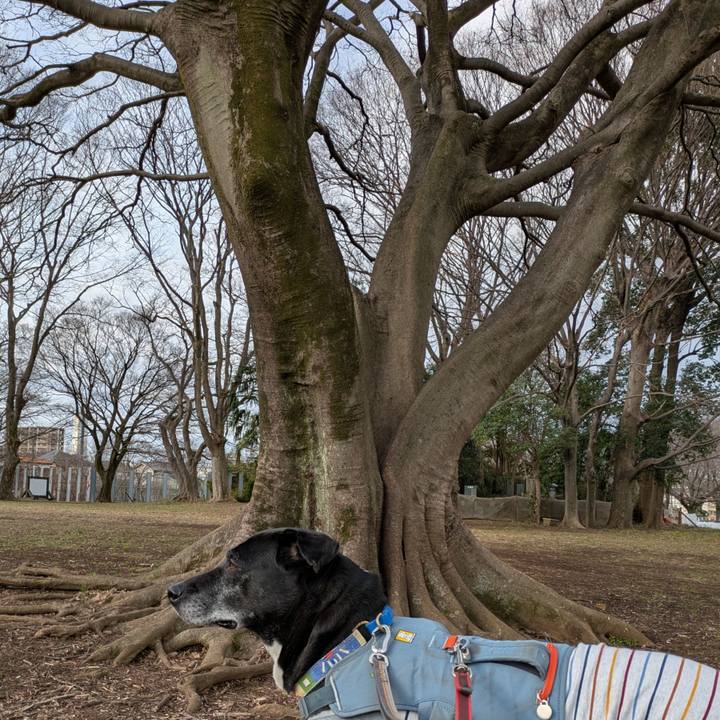 588bed54 3cca 427c a81d 1d59cc0369fd 1742259478032