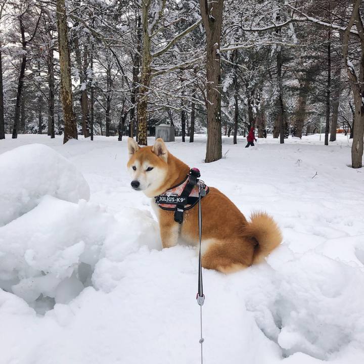 588c09ba 465b 4fe8 9734 0279a6d7664a 1583975607490