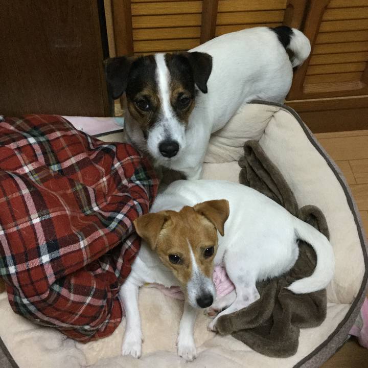 588c36d8 9257 4598 a6de 95adaa458257 1543316705256