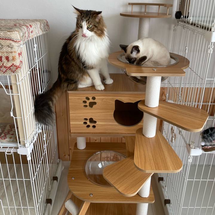 588c64ff 666b 449a a2b6 6334cb65893b 1700368859131