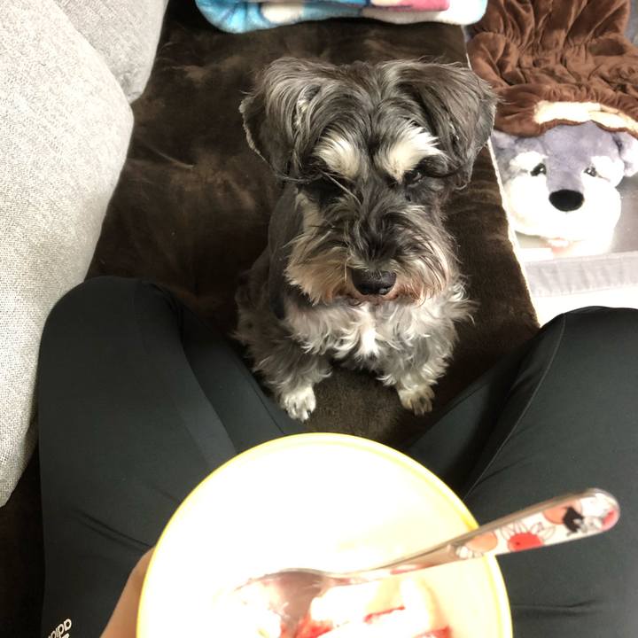 588c9fe9 2627 47a2 99cb 2f751176fa3c 1589071864499