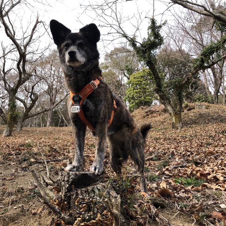 588cc18f b000 4763 a57c 452df83d0d75 1678411691749