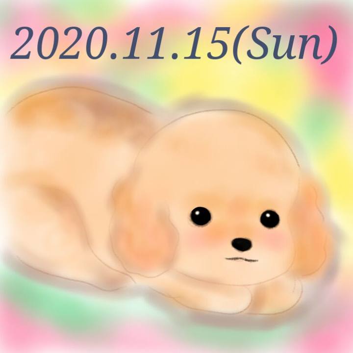 588cded7 a976 4b48 914b 93ac88c5ce14 1605439399256