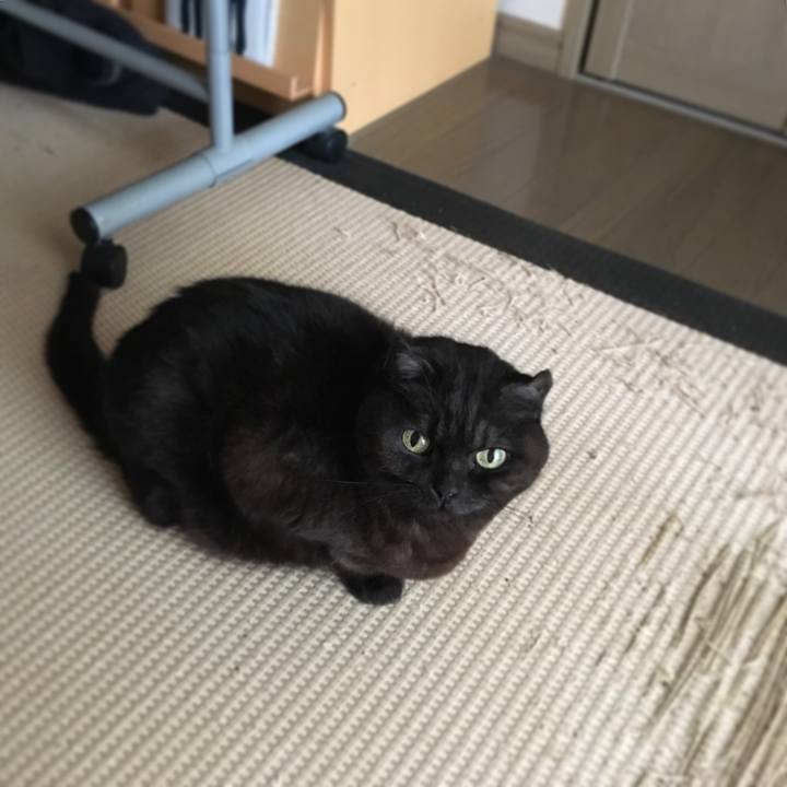 588cf698 8e56 4acb bce1 c65889bb9d62 1520731526754