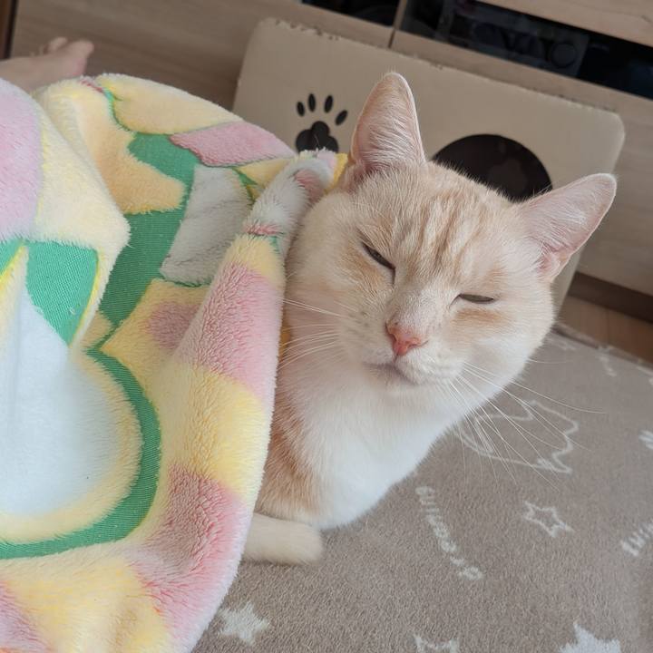 588d247c 848e 4a62 8560 a230b1b136e8 1762299063641