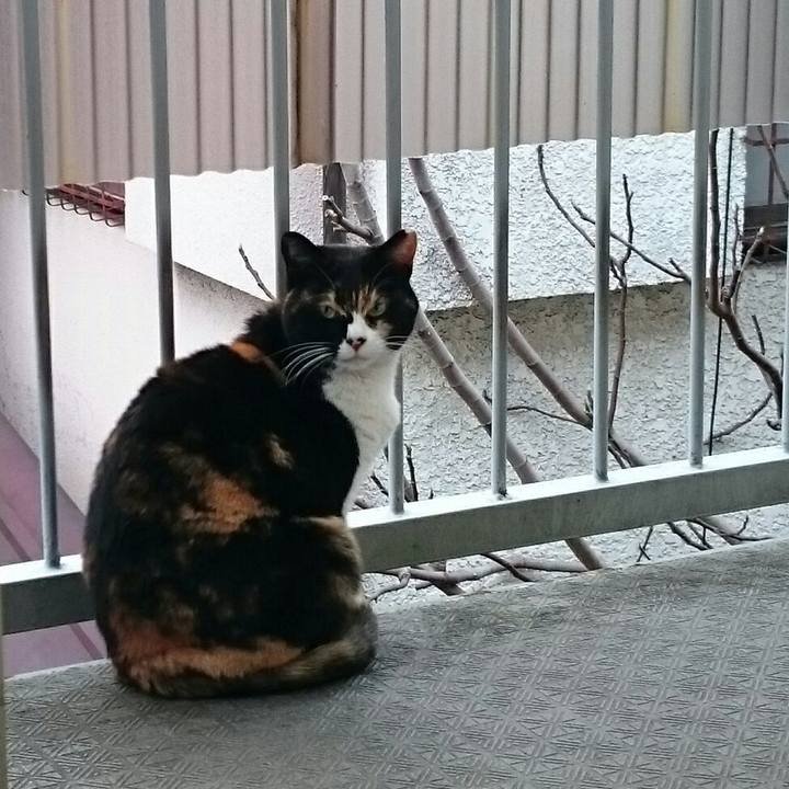 588d328d 97b8 4ebf 805f 3eaad7421733 1521763254961