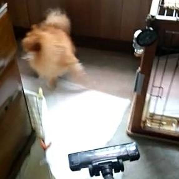 588d65c3 8c60 45ce 923f 25954cfaadd9 1535332415269