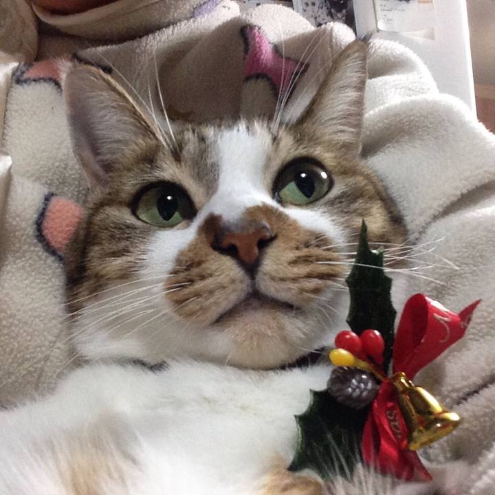 588d732e cfbe 462d b73f 4b773f209579 1515720645902