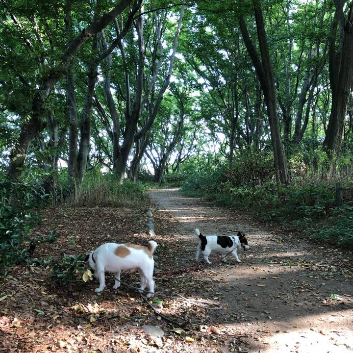 588ddba3 6dd2 4933 86eb ed621d72b5c8 1535154648317