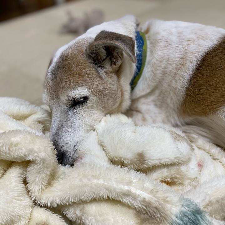 588e0834 def8 4195 93ed 49523eb77233 1676786274477