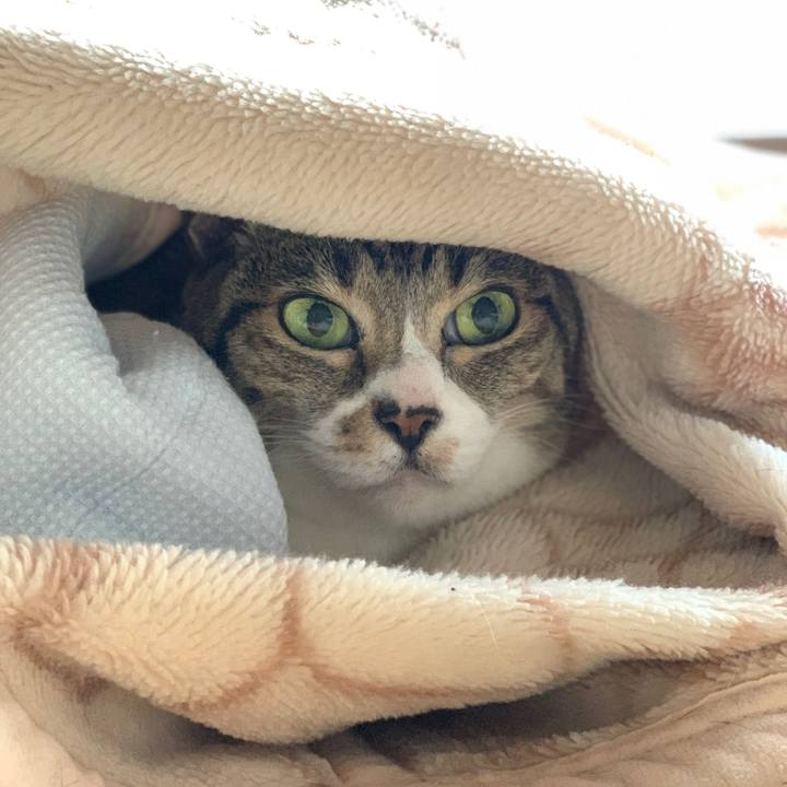 588e892b 0034 487d a40e bf9821d8e07e 1575336161440