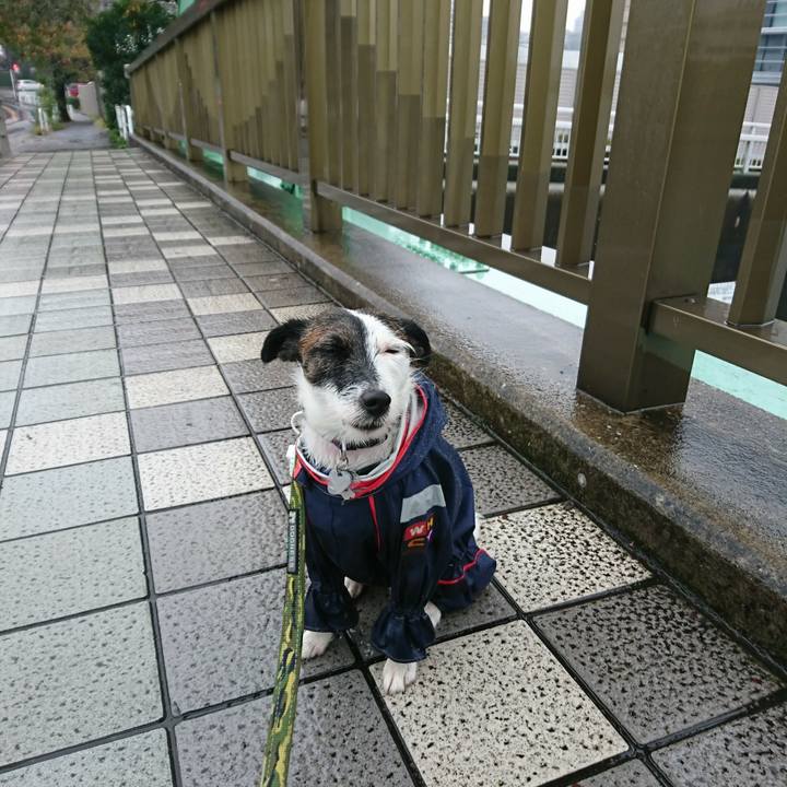 588e8d44 f245 45a6 ad82 0c6cc4eb9301 1509233087427