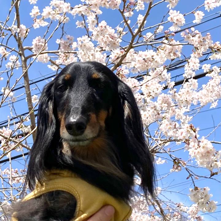 588e9a8a 42f0 4929 9289 8202b60bcea3 1648792092229