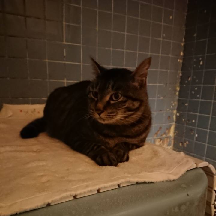 588eacf9 c604 4c9a bf95 635f5cf11966 1655554649011