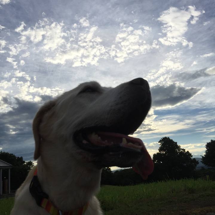 588ec1f1 3019 4836 a716 a08e4699a096 1563796042205