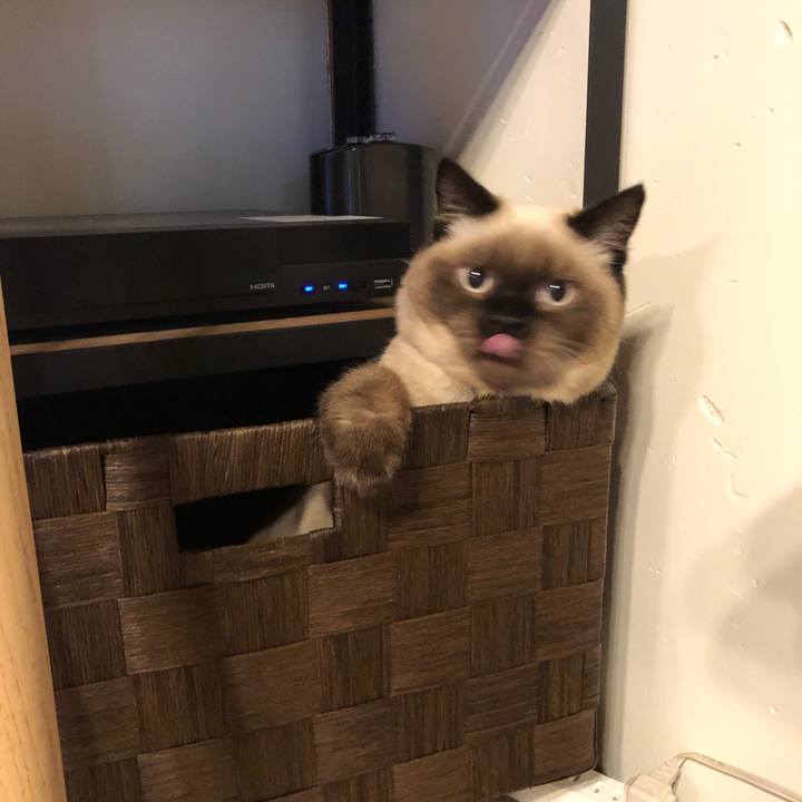 588edcaf 4885 4400 8d1d f88cf1d051ca 1595892725686