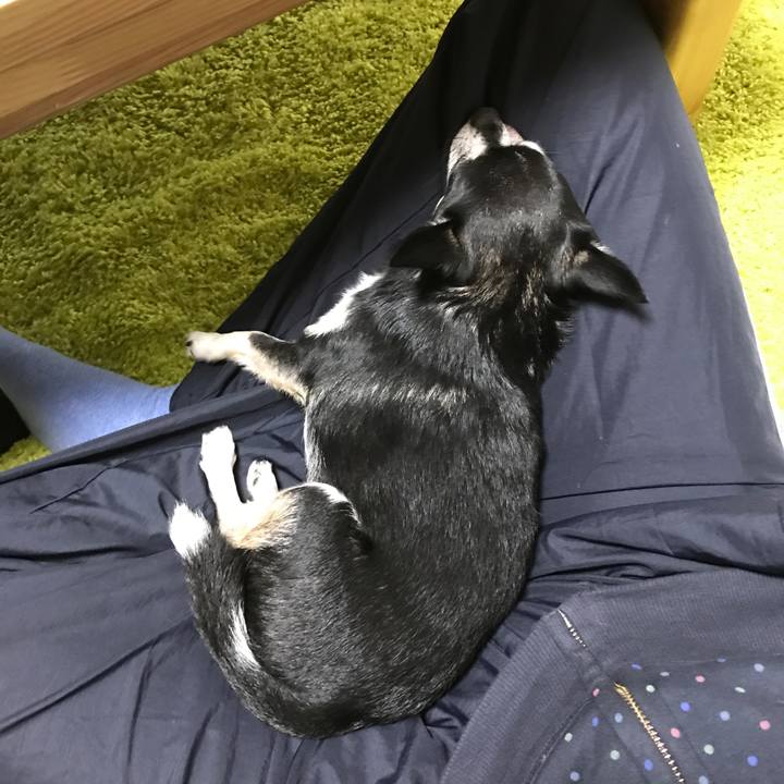 588f2e39 fc09 4823 8b9b 04e2e2432d55 1508579122201