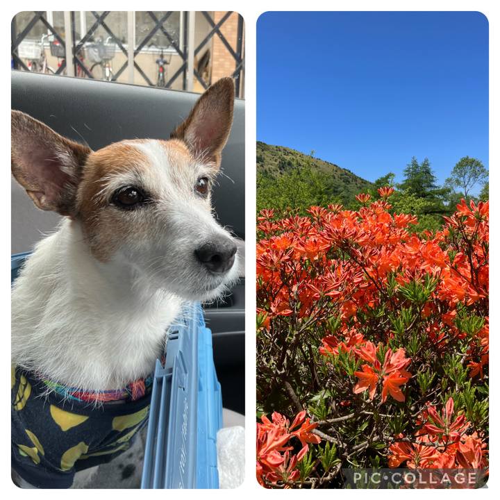 588f3563 e414 4b44 b04b 6a39520f79cc 1687055631197