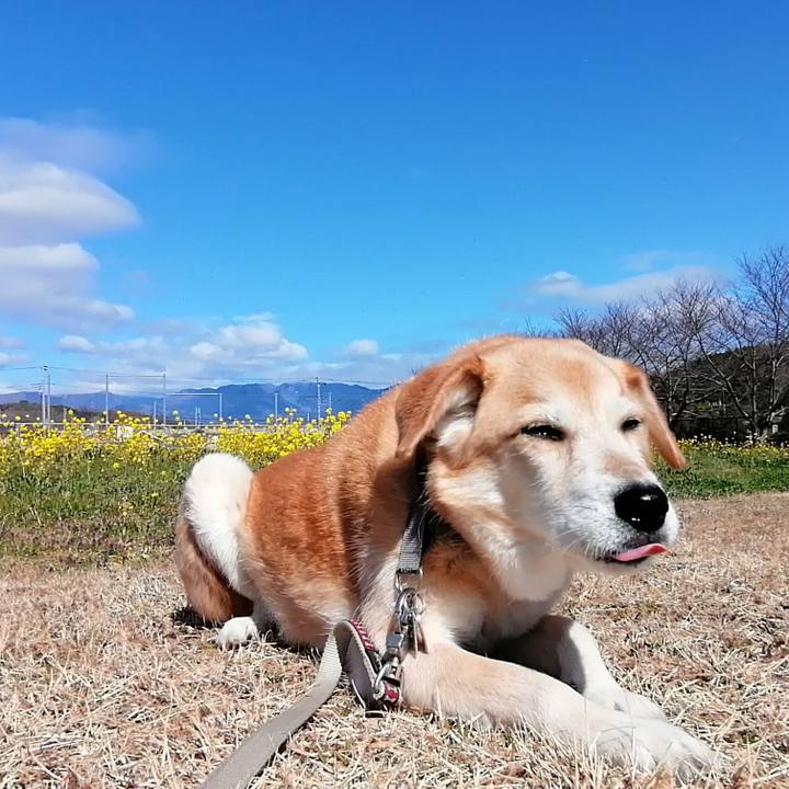 588f3ab9 db74 4b11 b458 3af17e1baf3d 1583724026230