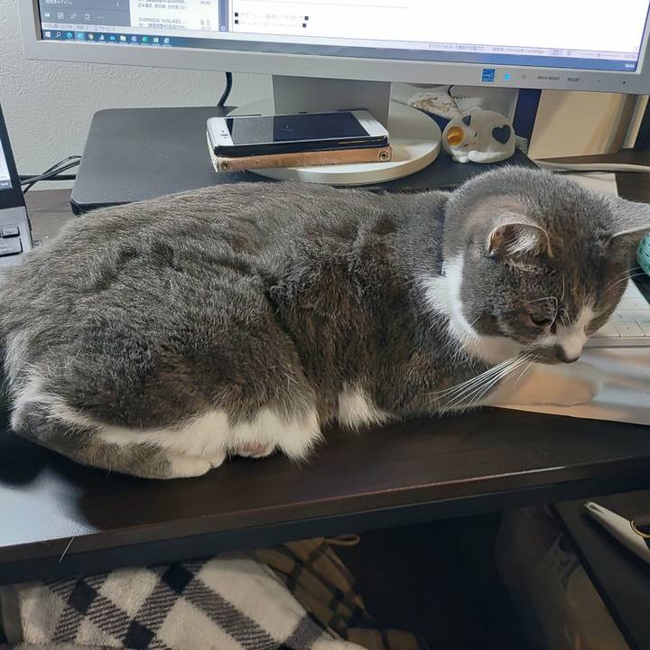 588f3edd b577 403f 8428 78126b46c9b3 1678191499248