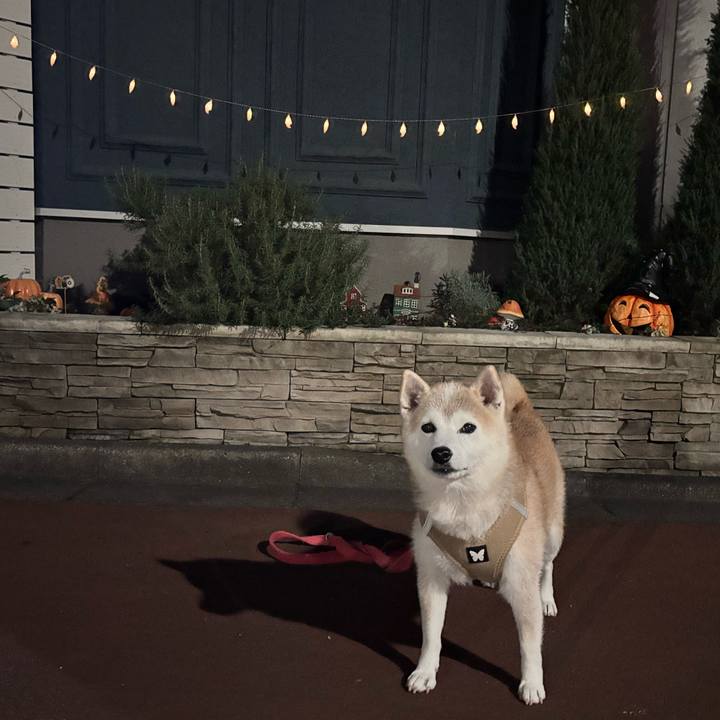 588f5450 3a93 48a4 babd e064ead8c553 1761966003499