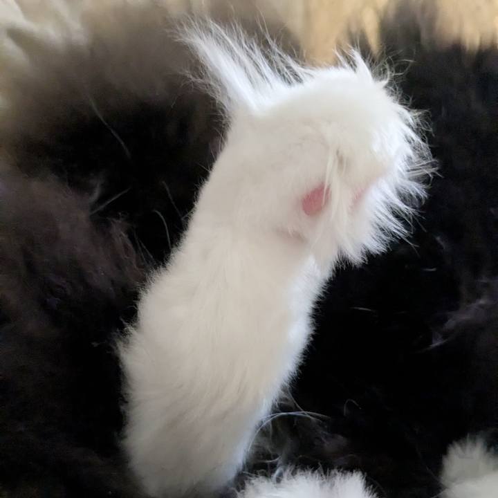 588f9f28 3153 4bb9 914b 1a574c37d608 1739675907017