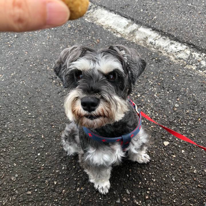 589010c4 7868 4fe3 a73a 4f7337b436ab 1625963522520