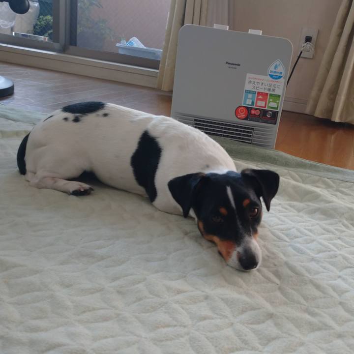 5890122f d466 4f5f 8cac e4282900b072 1609990011795