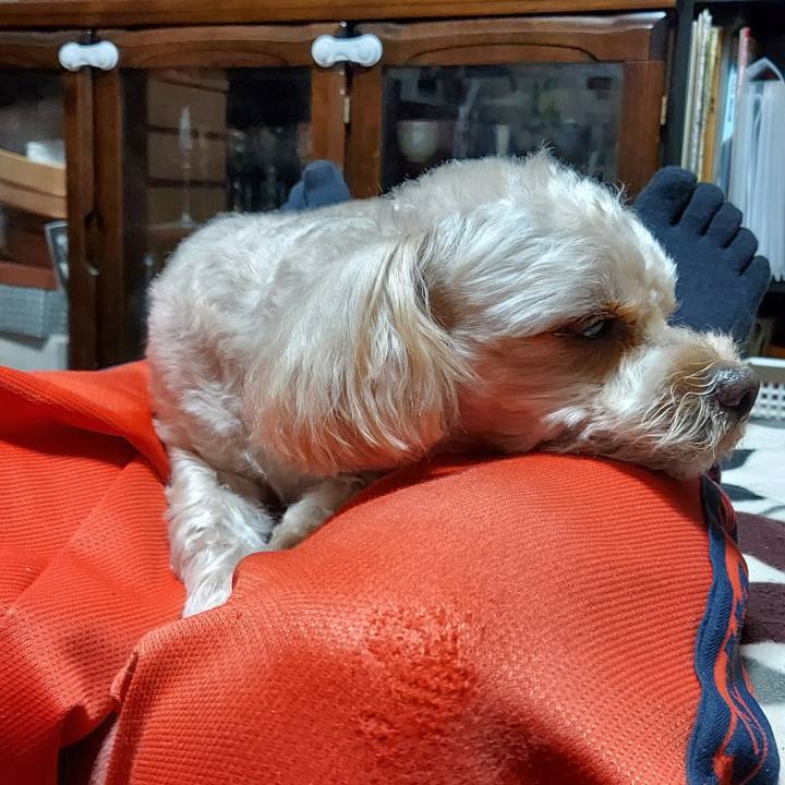 589031b5 1dd8 4b8d 815d 9286188f62ba 1639958726129