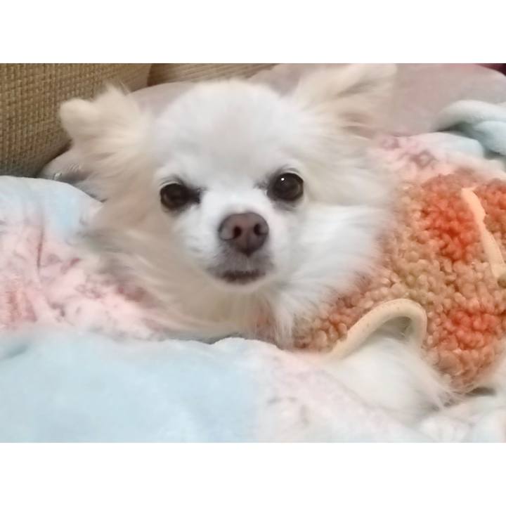 58904a08 f0bd 4ae1 ba8d 67b2226c0f8e 1643971283365