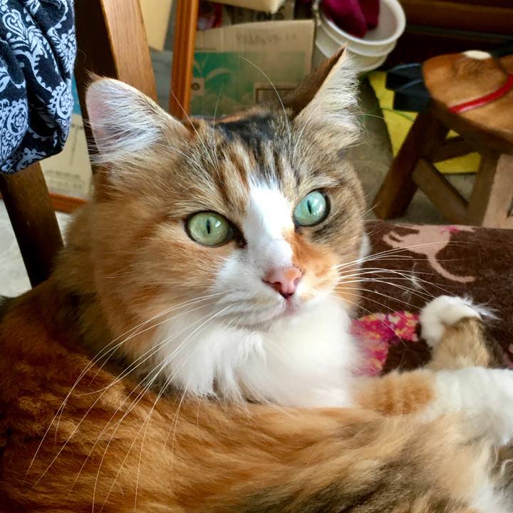 58907327 e877 4a32 8bdd 5de9da427995 1571399984477