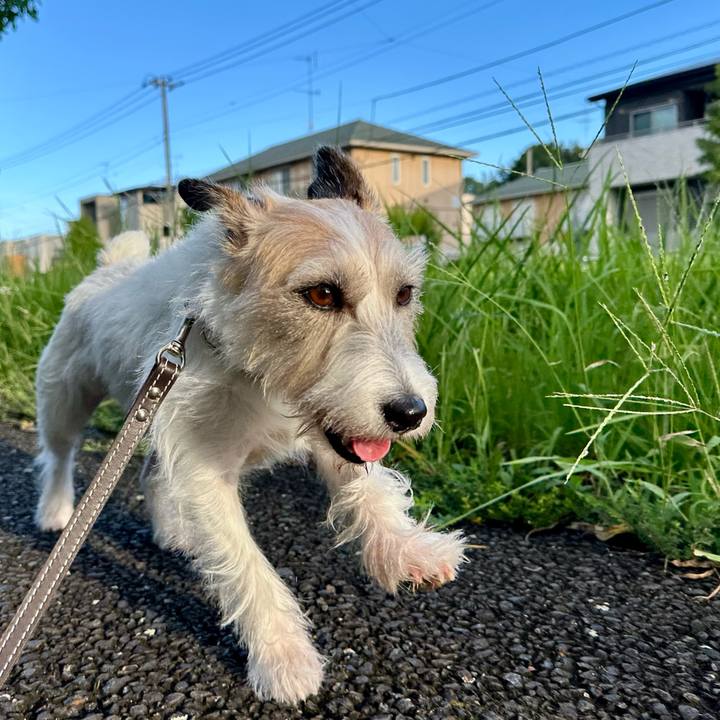 58907657 b3bc 44c9 9154 ac7cecc930dd 1758546184721