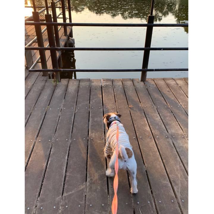 589078ad c9e2 4633 a631 00afb0ec7855 1597828928339