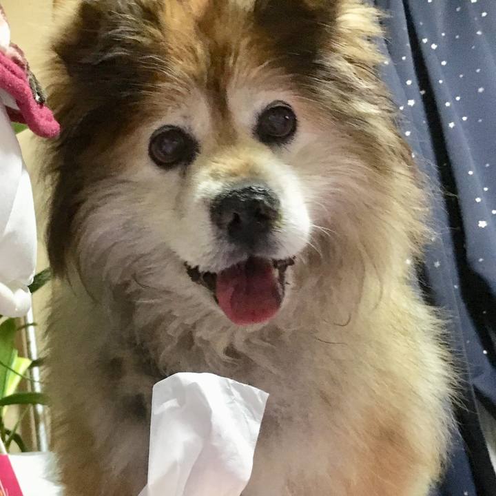 58908ca8 6478 42ef a54f 701fe6418c07 1580176983202