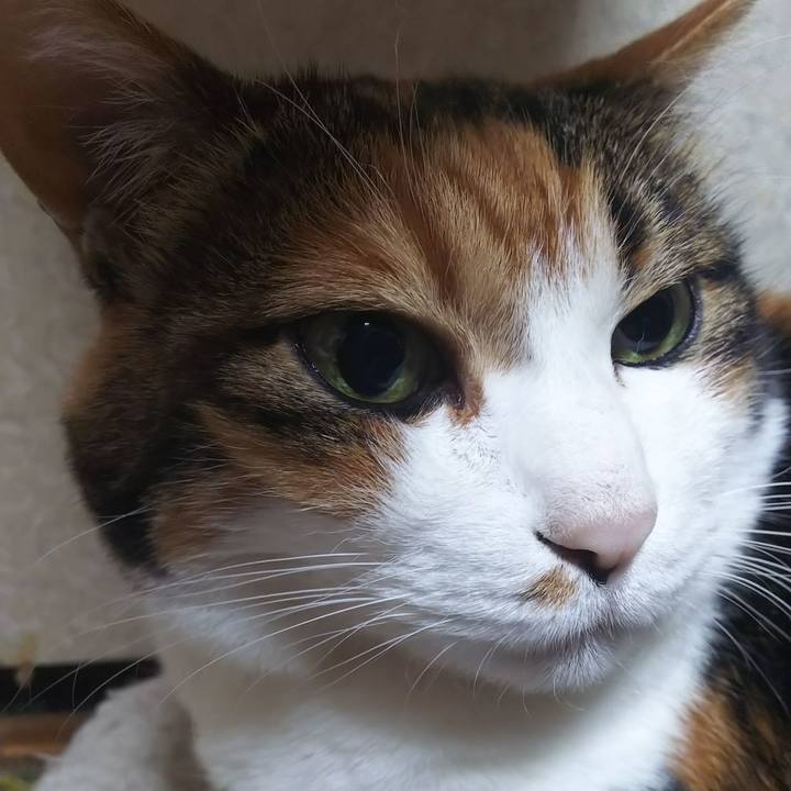 58908db1 4e53 4680 b881 2807d68fd276 1574827999176