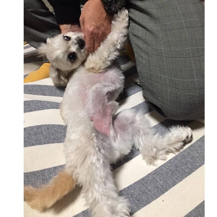 5890ace5 0c8c 4bf0 9502 dd460c55e389 1517525258449