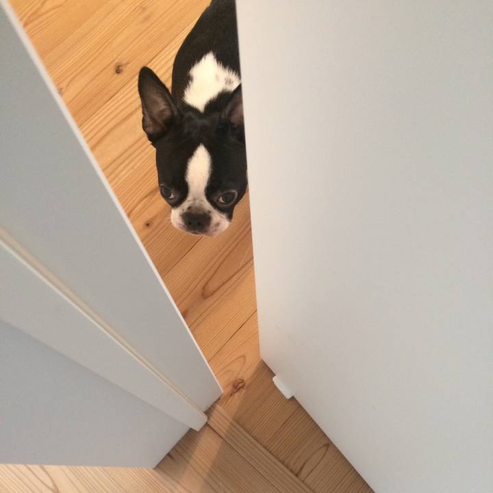 5890b518 8f09 4243 89f6 6fc308a3a8dc 1508464325526