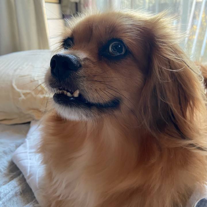 5890c408 24aa 4541 9fad 89405353e5d4 1597527789304