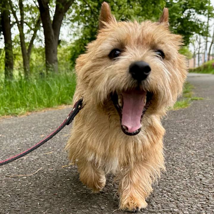 5890d3d3 2238 416e aad4 e30e0edb5ab1 1745122487341