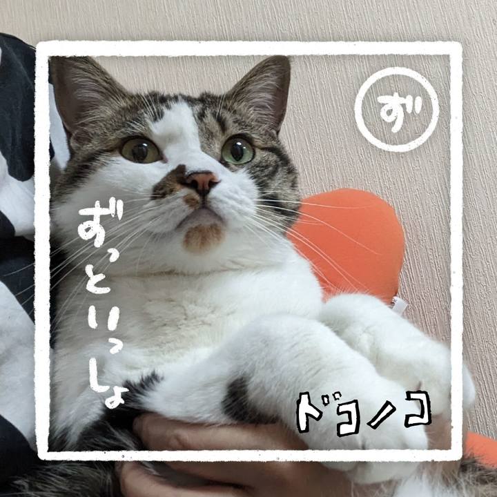 5890d8cf 4222 4003 9123 ebb42f1f580e 1685963590911