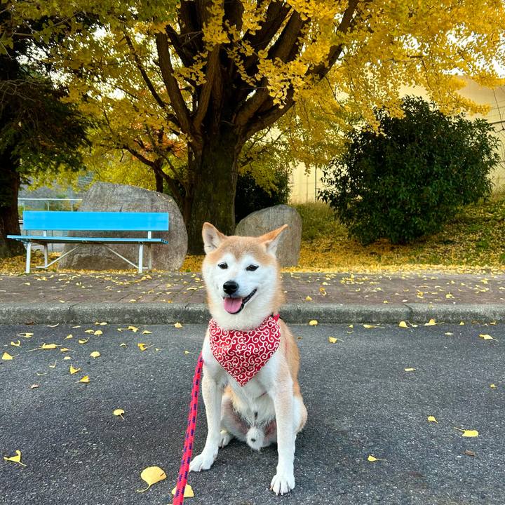 5890e489 3889 45bb af1f ee6f81d184a6 1699182532916