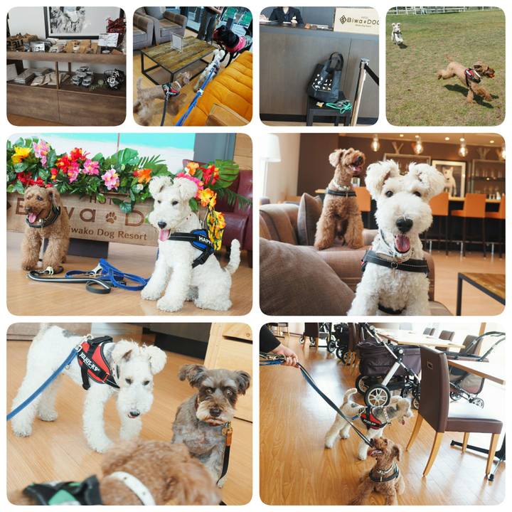 5891221e 2dea 4cc0 b3a1 e4ba91926669 1534683285818