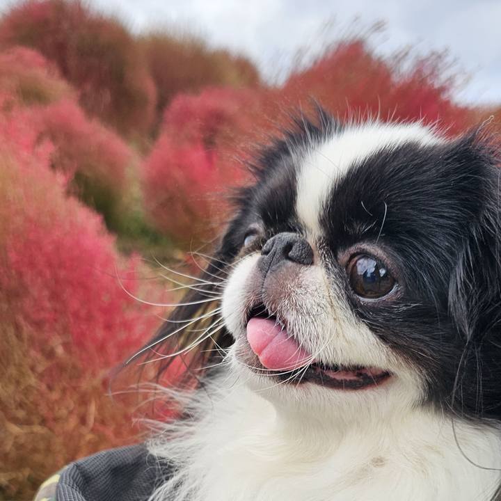 5891767f 6f40 4093 b072 c6585fd089a8 1729507984801