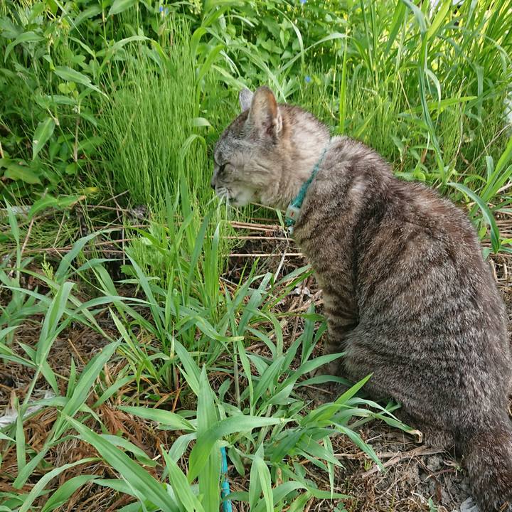 58917897 5b80 41fa a3fc 7362a1456e5f 1565211816338