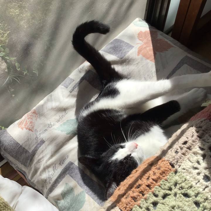 5891a3cc 3f58 4ccf af1d 80184ea75822 1632735102987